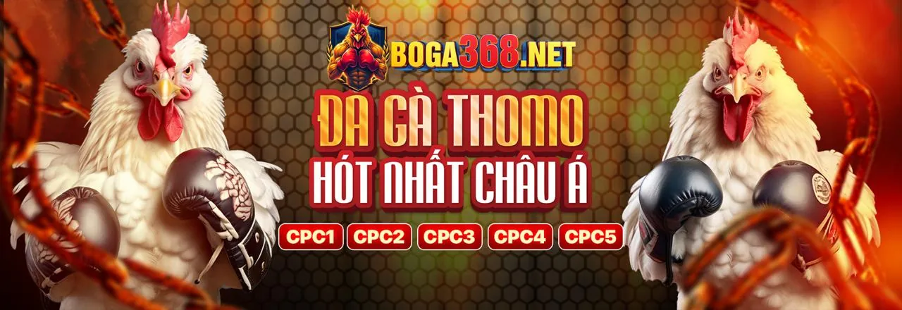 Đá Gà Trực Tuyến BB996