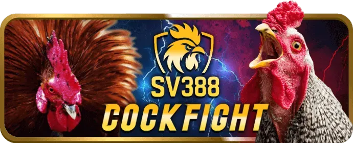 Chương trình hoàn trả cao cấp bb996